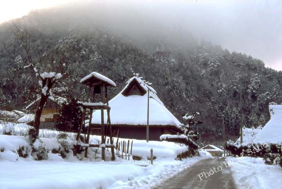hinomi-7-2