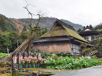 tottori-3