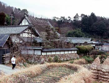 nara-b-5